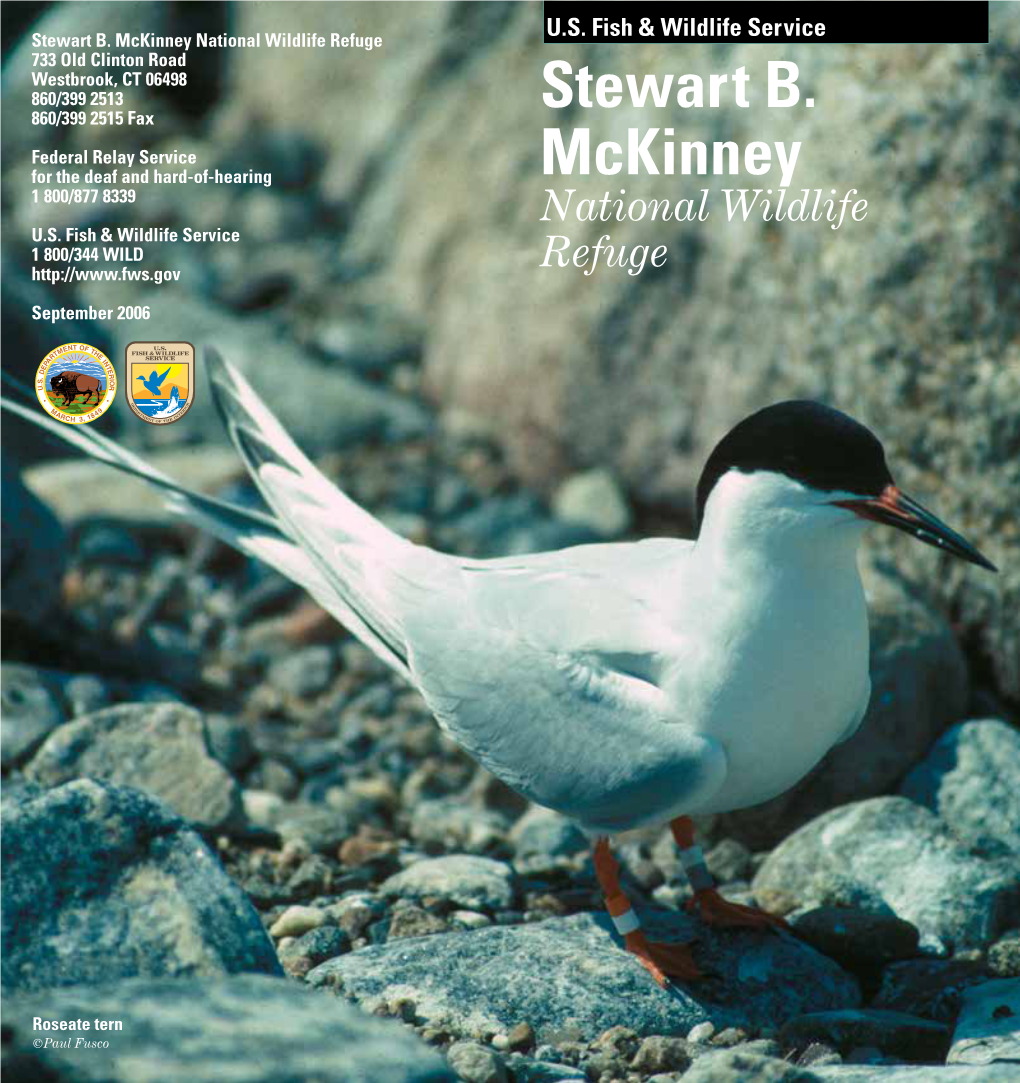 Stewart B. Mckinney NWR Brochure