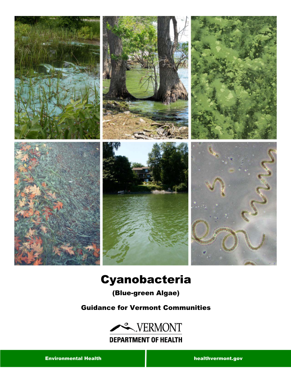 Cyanobacteria (Blue-Green Algae)