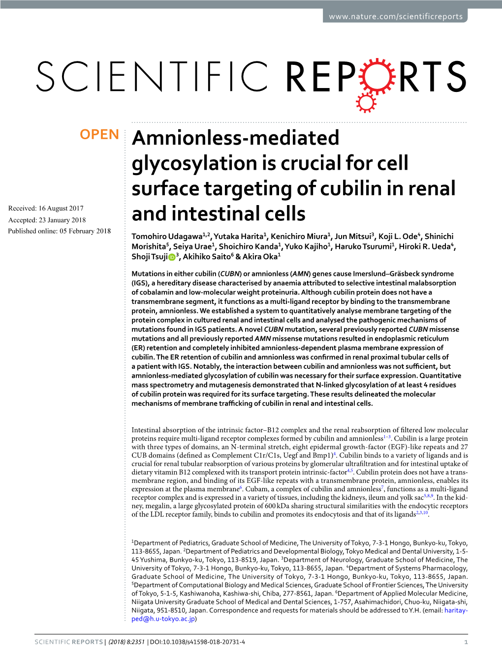 Amnionless-Mediated Glycosylation Is Crucial for Cell Surface Targeting Of