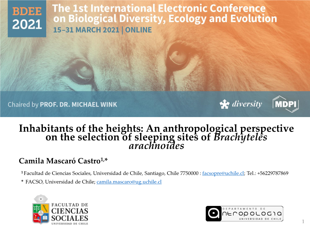 An Anthropological Perspective on the Selection of Sleeping Sites of Brachyteles Arachnoides Camila Mascaró Castro1,*