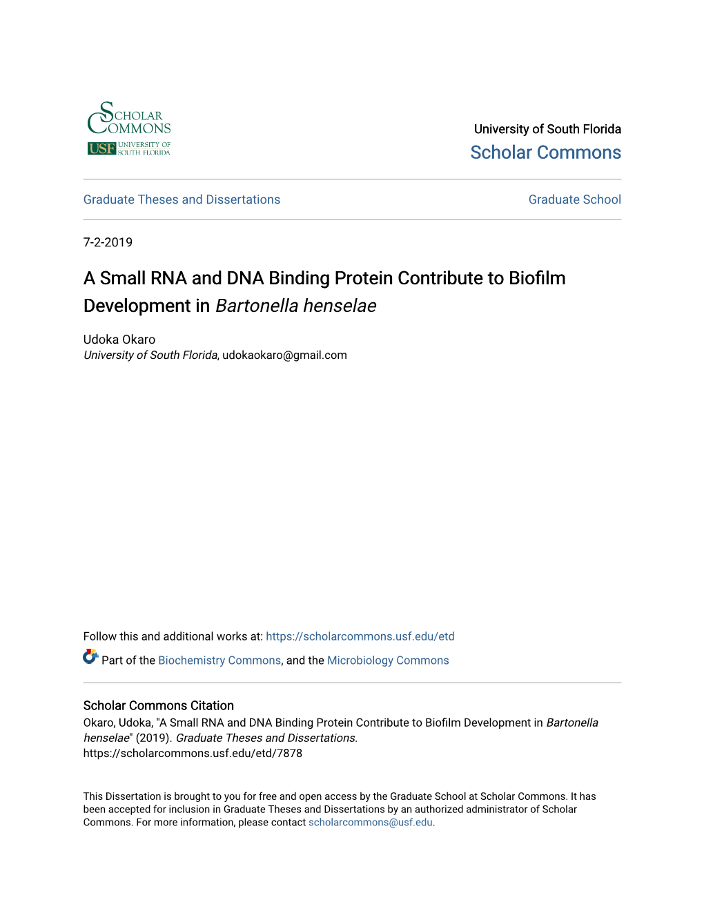 A Small RNA and DNA Binding Protein Contribute to Biofilm Development in Bartonella Henselae