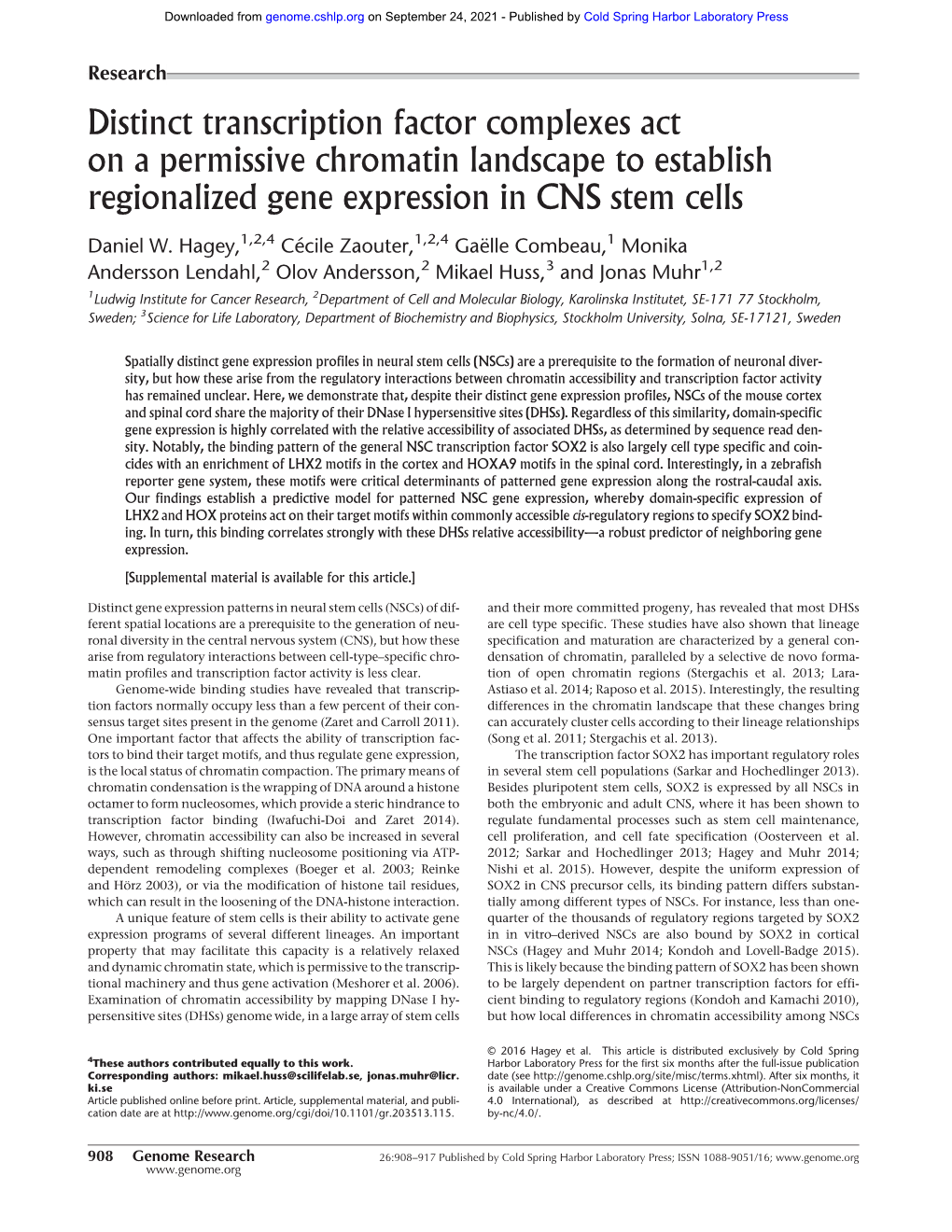 Distinct Transcription Factor Complexes Act on a Permissive Chromatin Landscape to Establish Regionalized Gene Expression in CNS Stem Cells