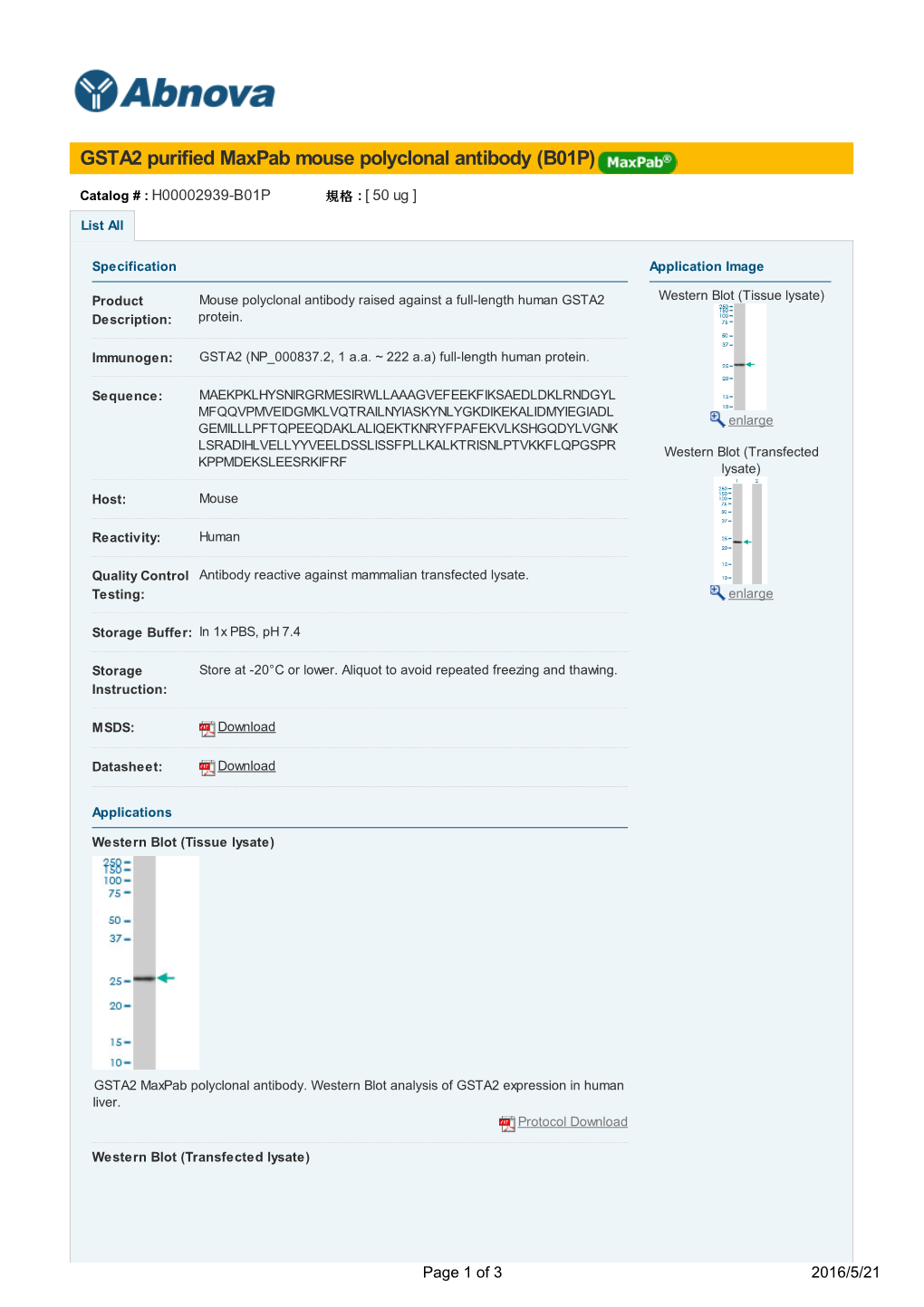 GSTA2 Purified Maxpab Mouse Polyclonal Antibody (B01P)