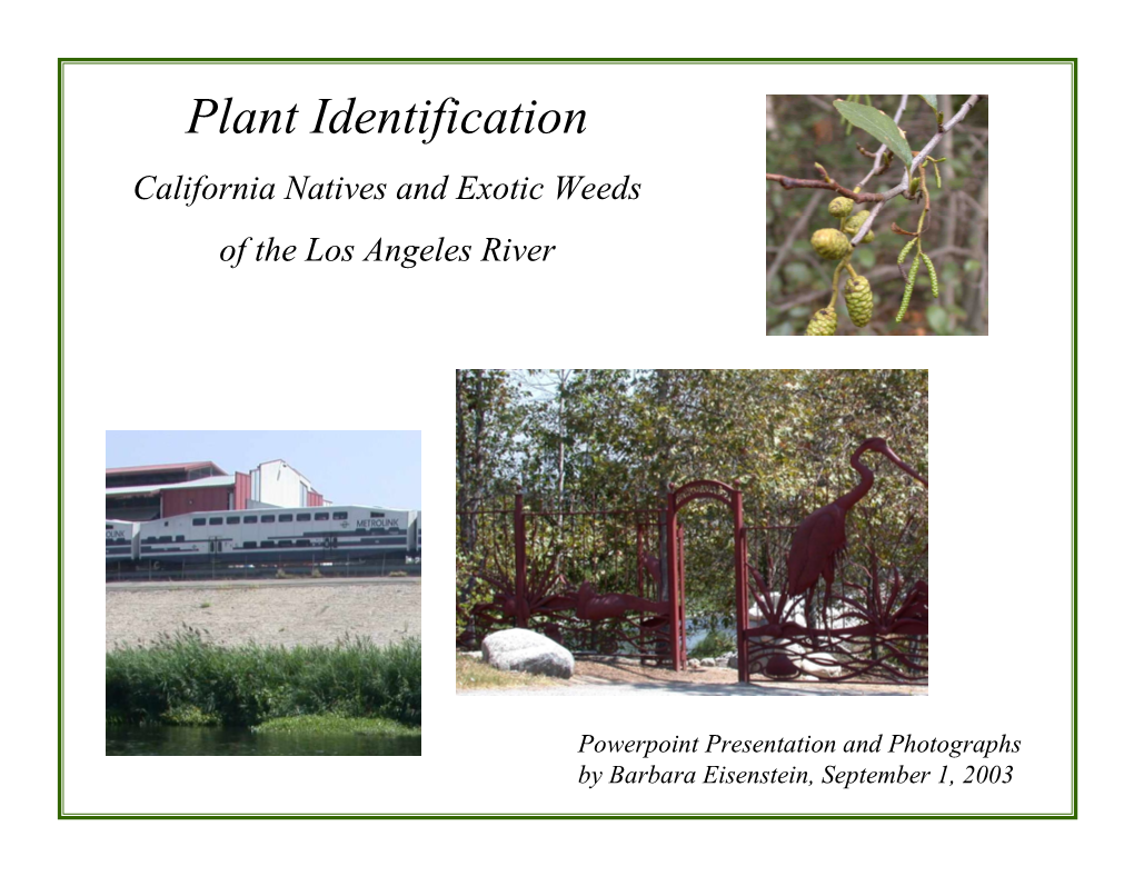 California Natives and Exotic Weeds of the Los Angeles River