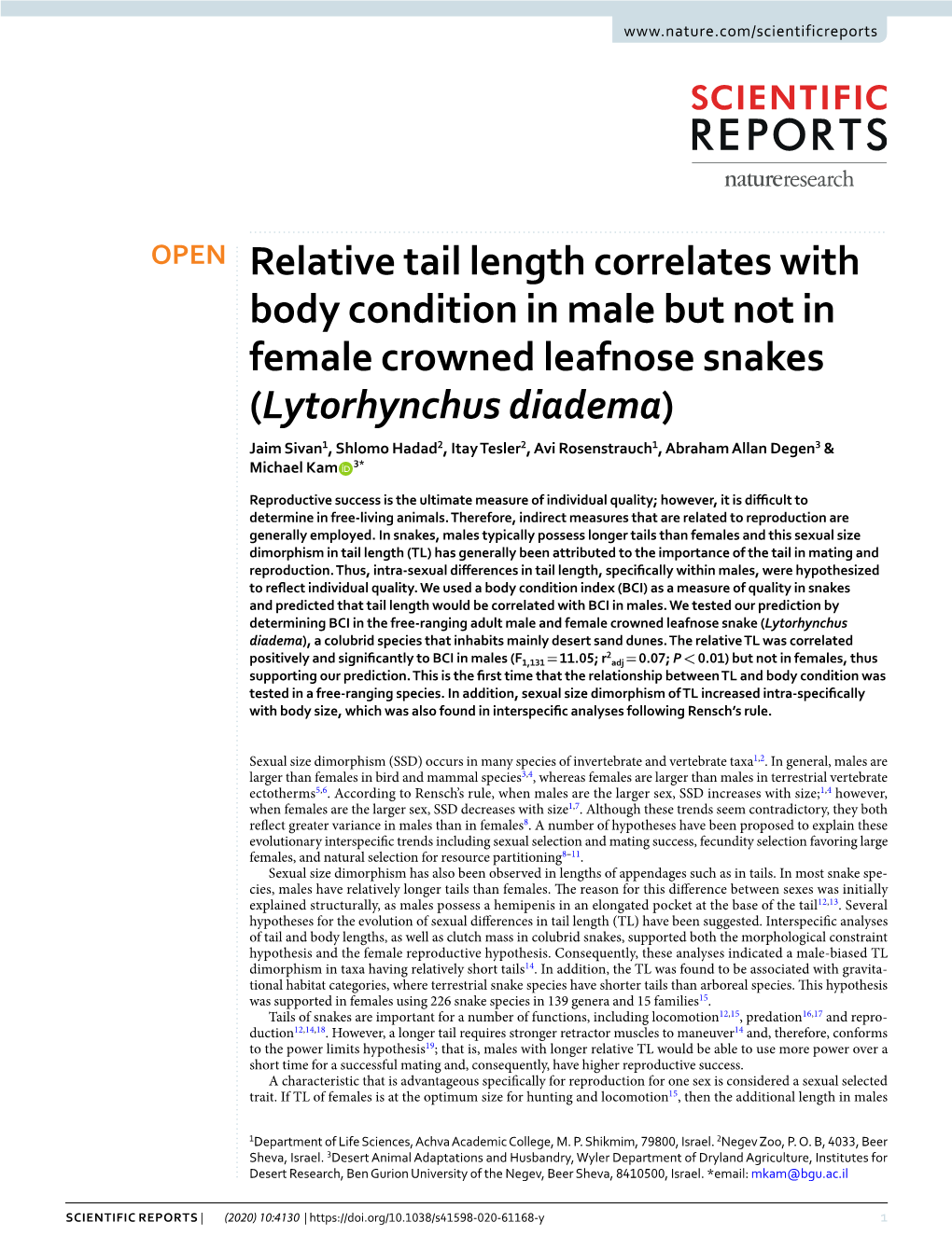 Relative Tail Length Correlates with Body Condition in Male but Not In