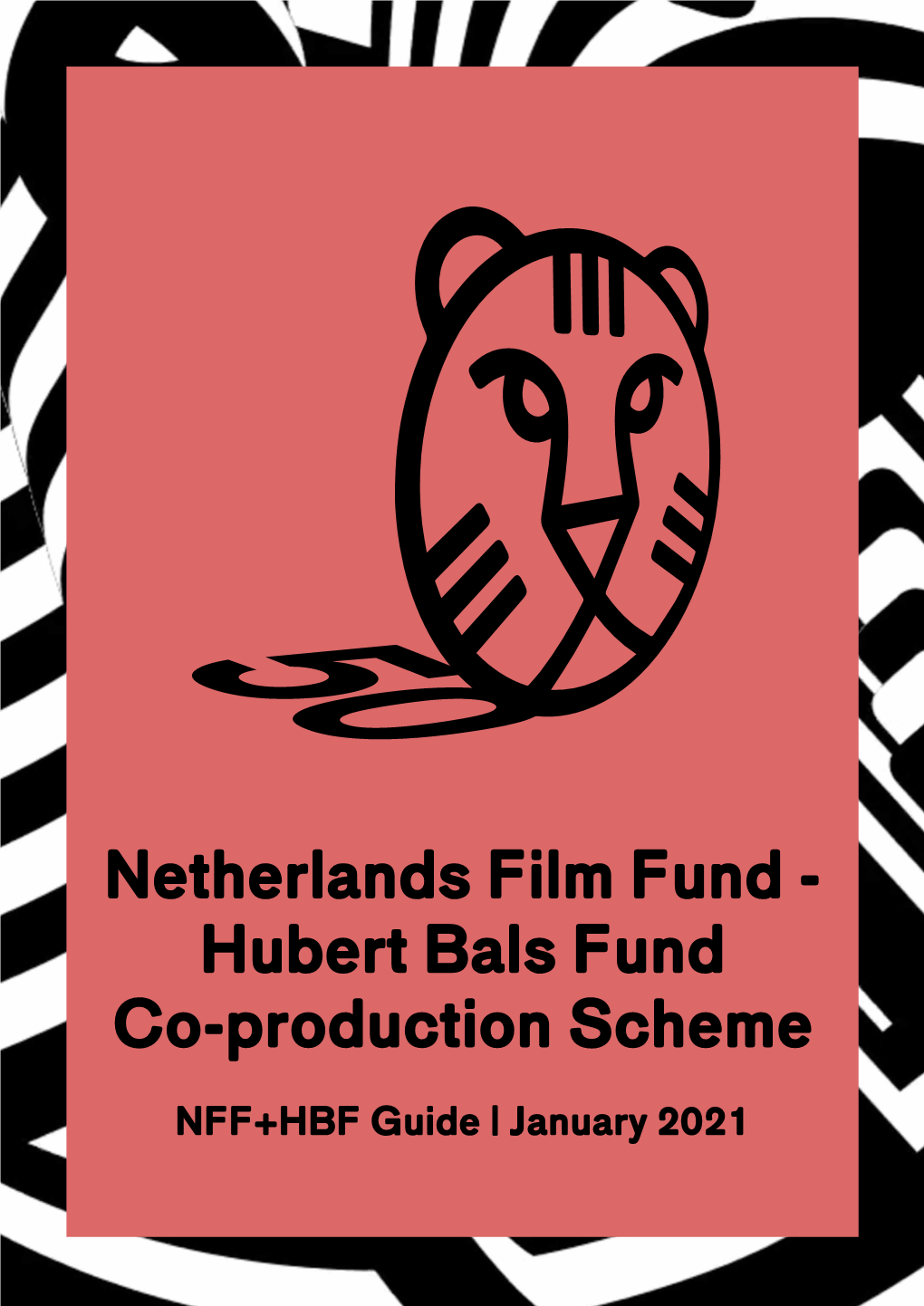Netherlands Film Fund - Hubert Bals Fund Co-Production Scheme