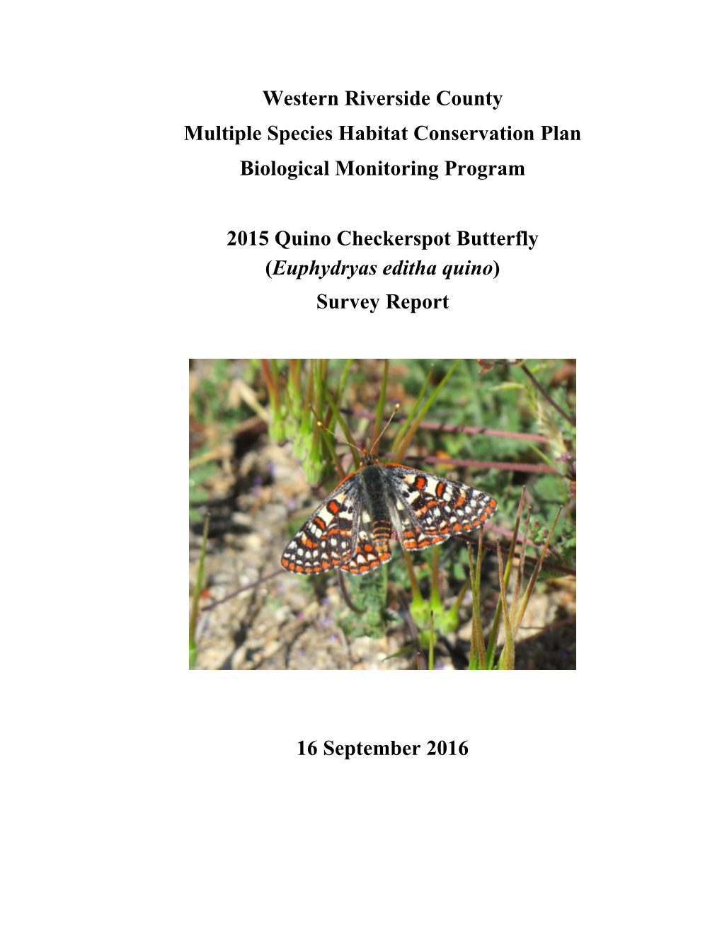 Quino Checkerspot Butterfly Survey Report 2015