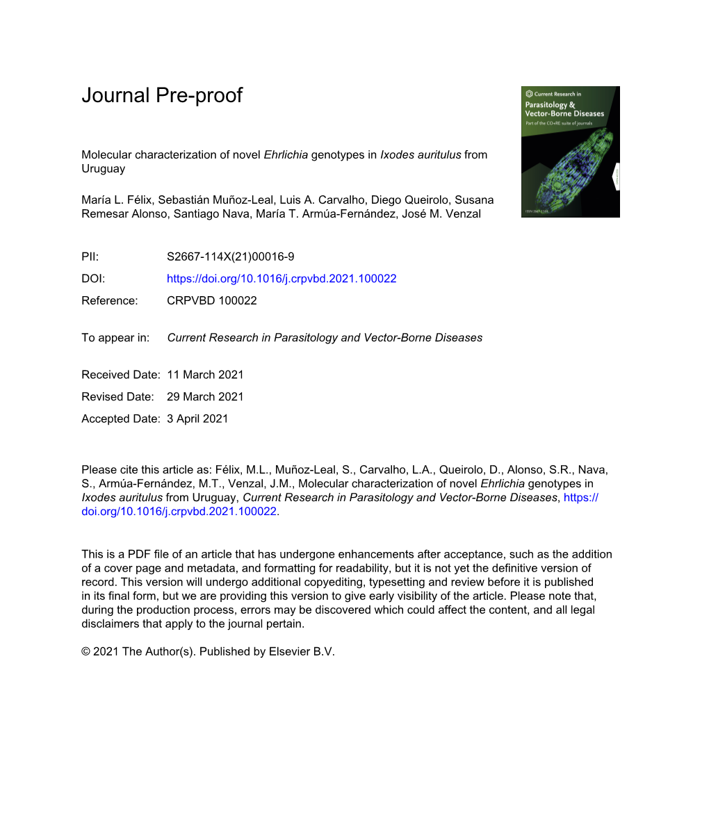 Molecular Characterization of Novel Ehrlichia Genotypes in Ixodes Auritulus from Uruguay