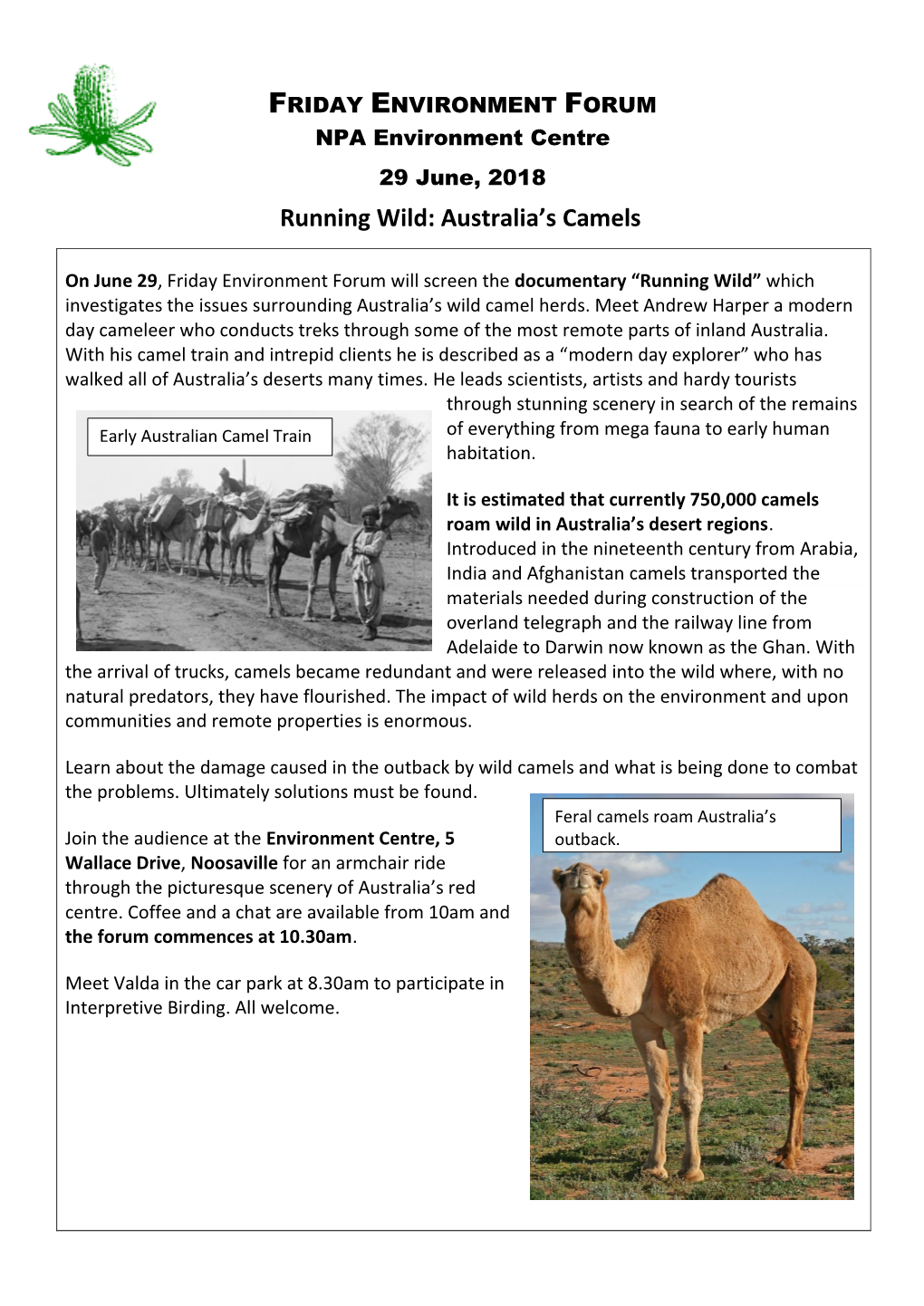FRIDAY ENVIRONMENT FORUM NPA Environment Centre 29 June, 2018 Running Wild: Australia’S Camels