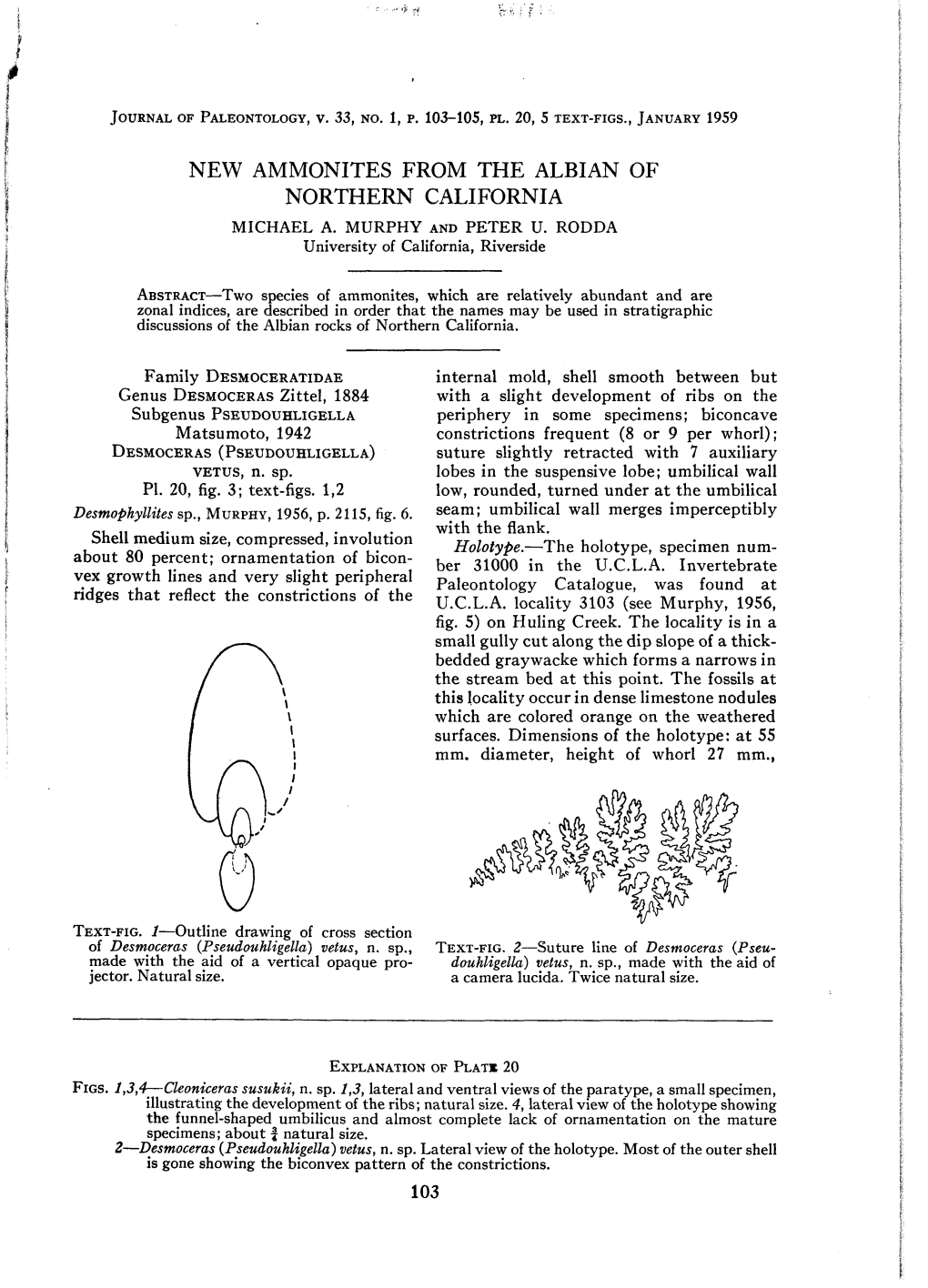 New Ammonites from the Albian of Northern California Michael A