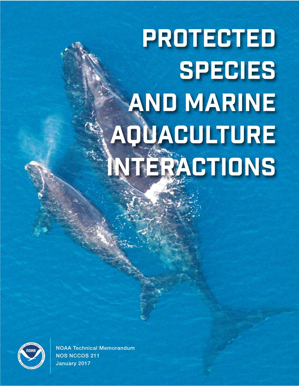 Protected Species and Marine Aquaculture Interactions
