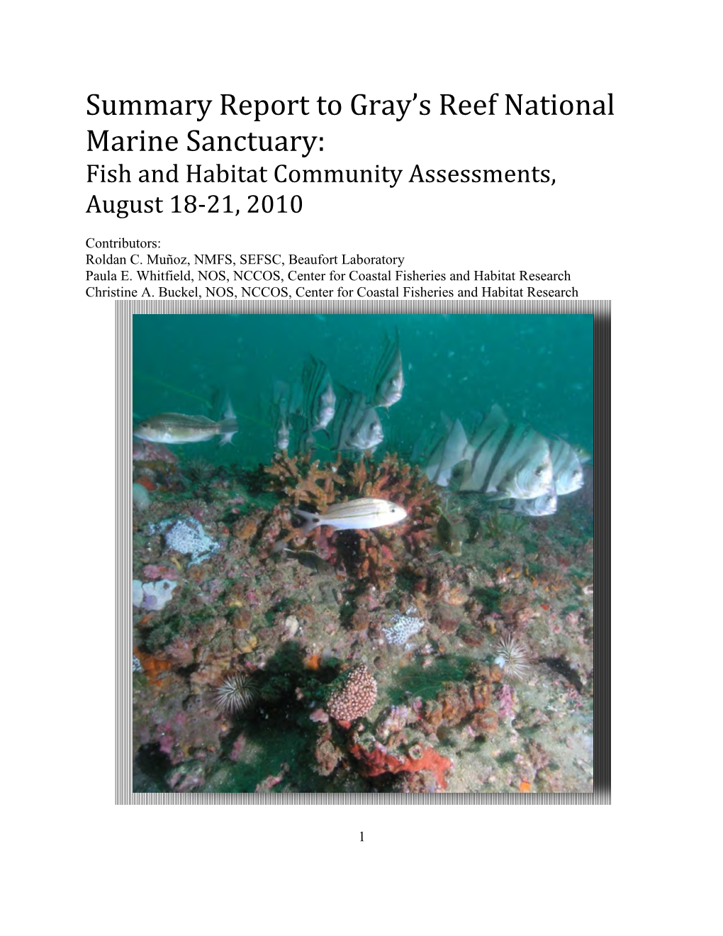 Summary Report to Gray's Reef National Marine Sanctuary