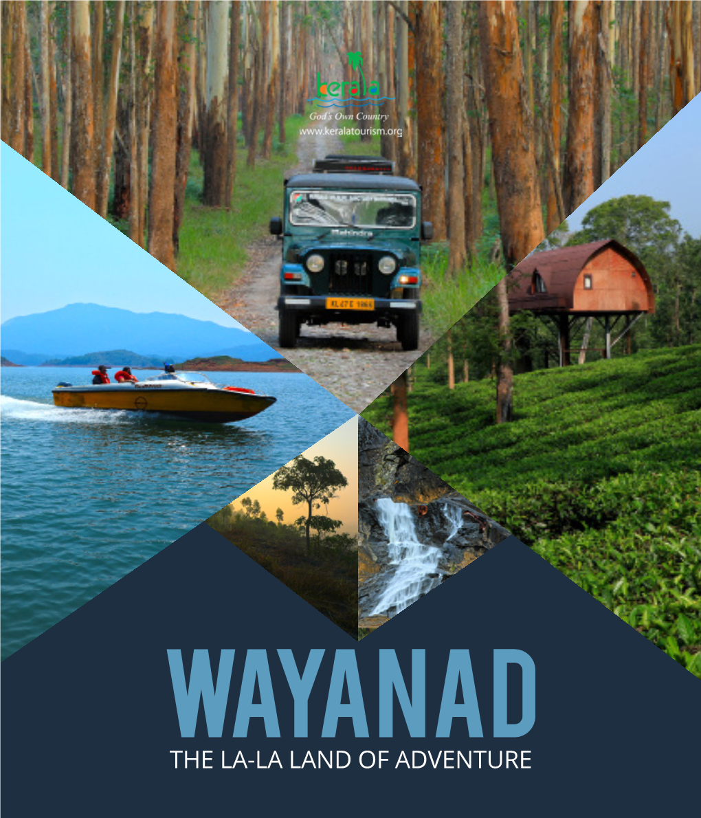 Wayanad the LA-LA LAND of ADVENTURE Walk Through the Pages of History, Listening to the Stories of the Kings, Gods and Civilizations