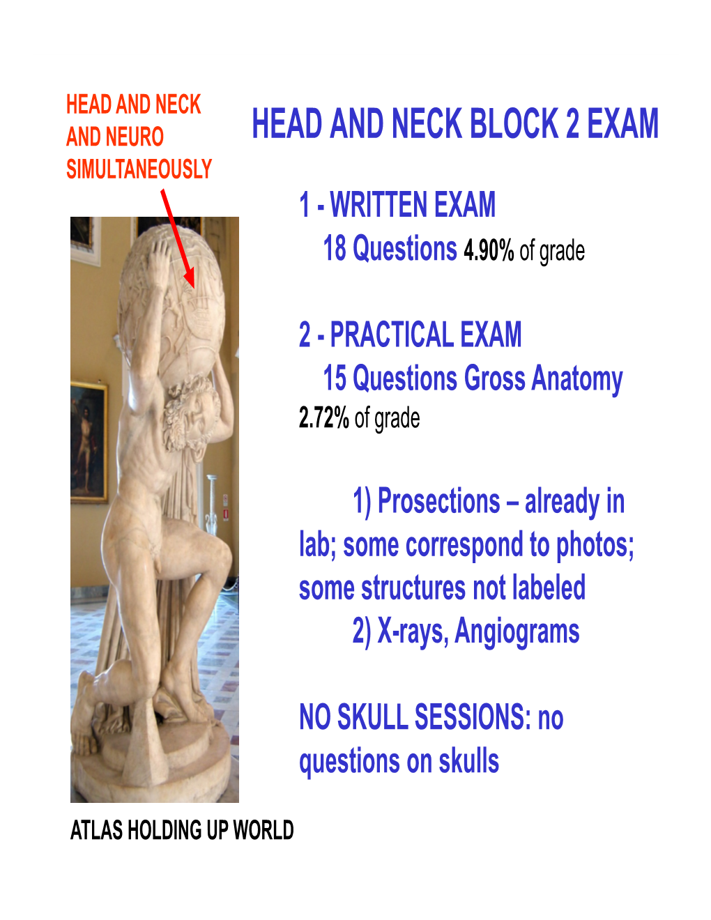 (FALSE VOCAL) FOLDS - Overlie Vestibular Ligaments