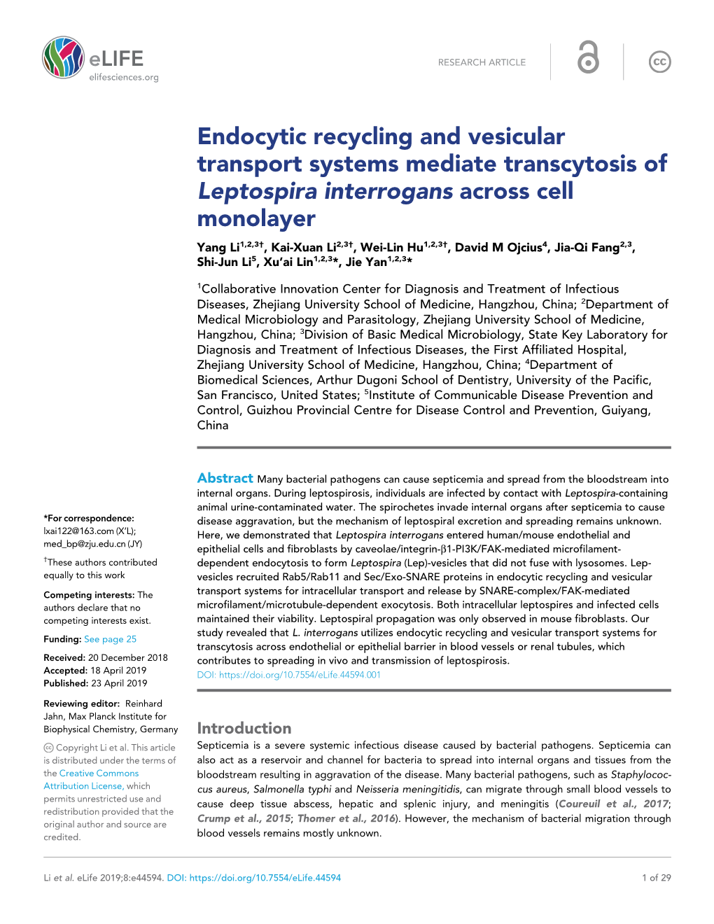 Endocytic Recycling and Vesicular Transport Systems Mediate