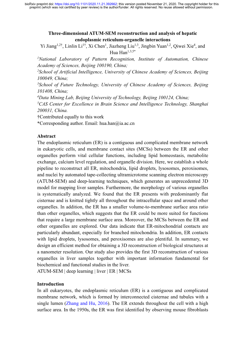 Three-Dimensional ATUM-SEM Reconstruction and Analysis Of