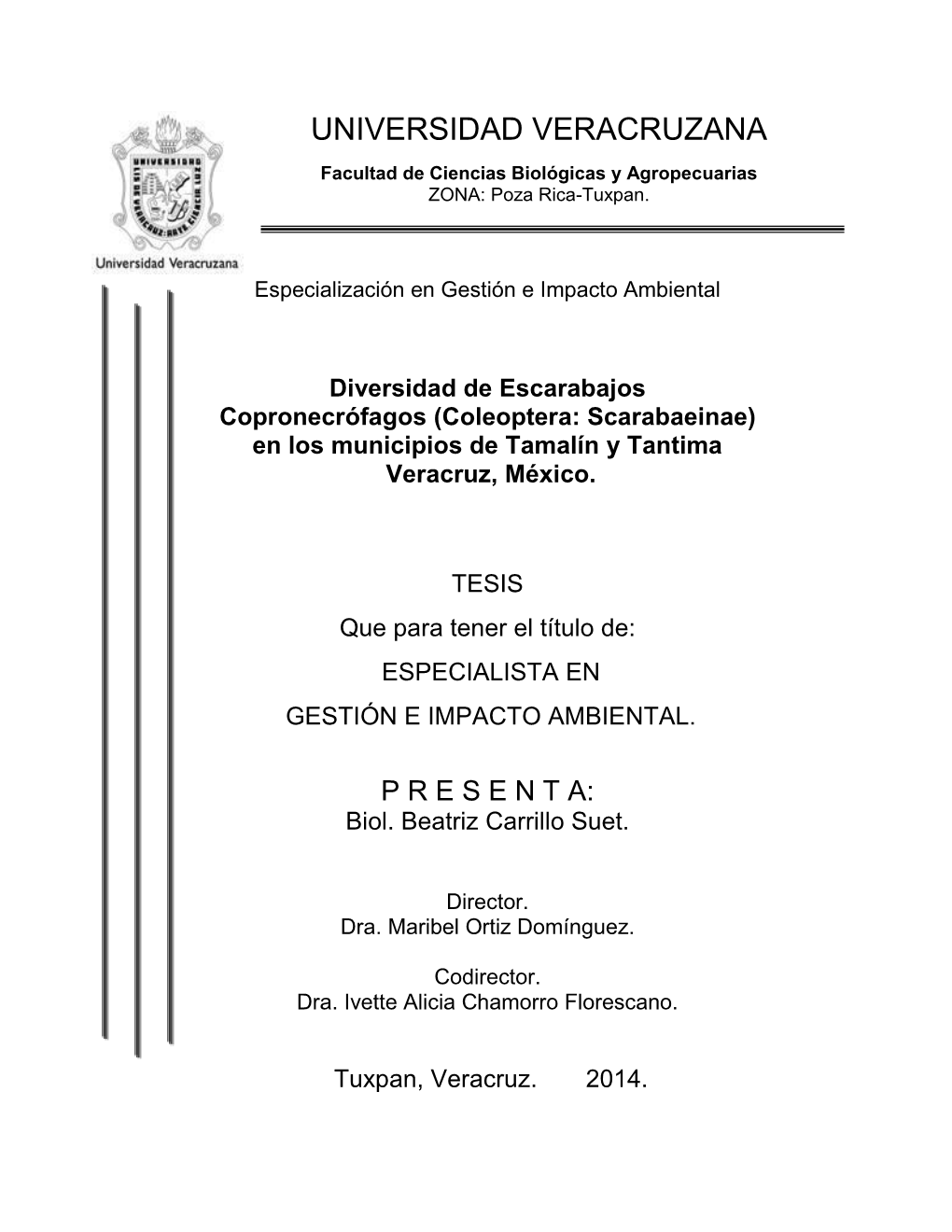 Carrillosuetbeatriz.Pdf