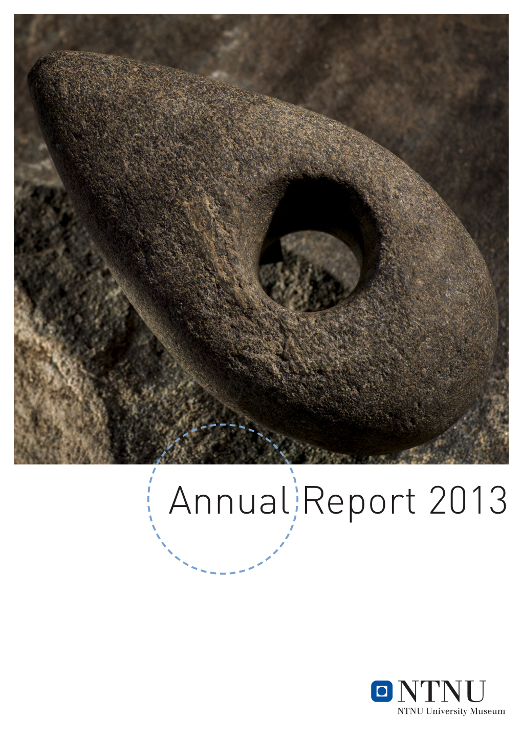 Annual Report 2013 Visions