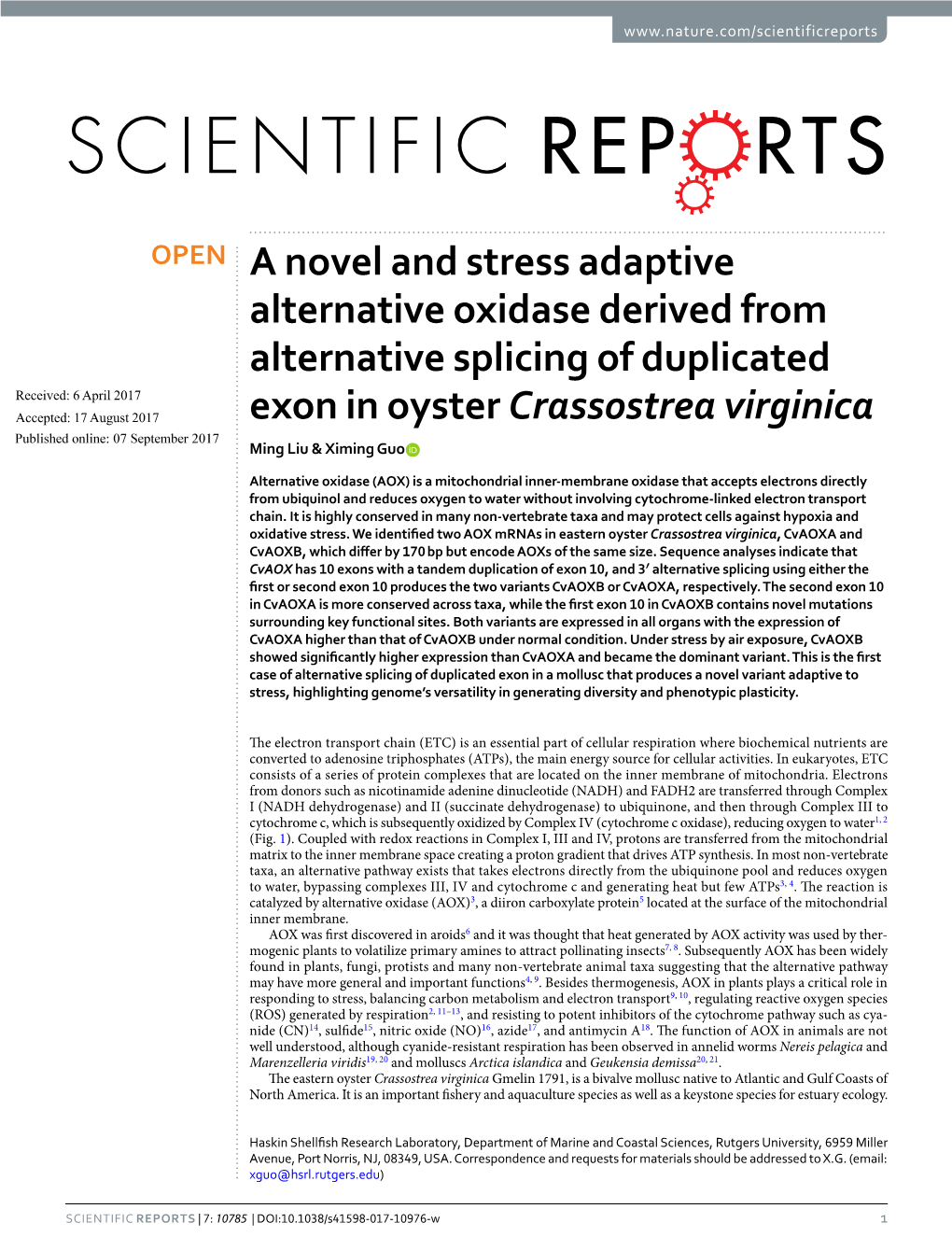 A Novel and Stress Adaptive Alternative Oxidase Derived