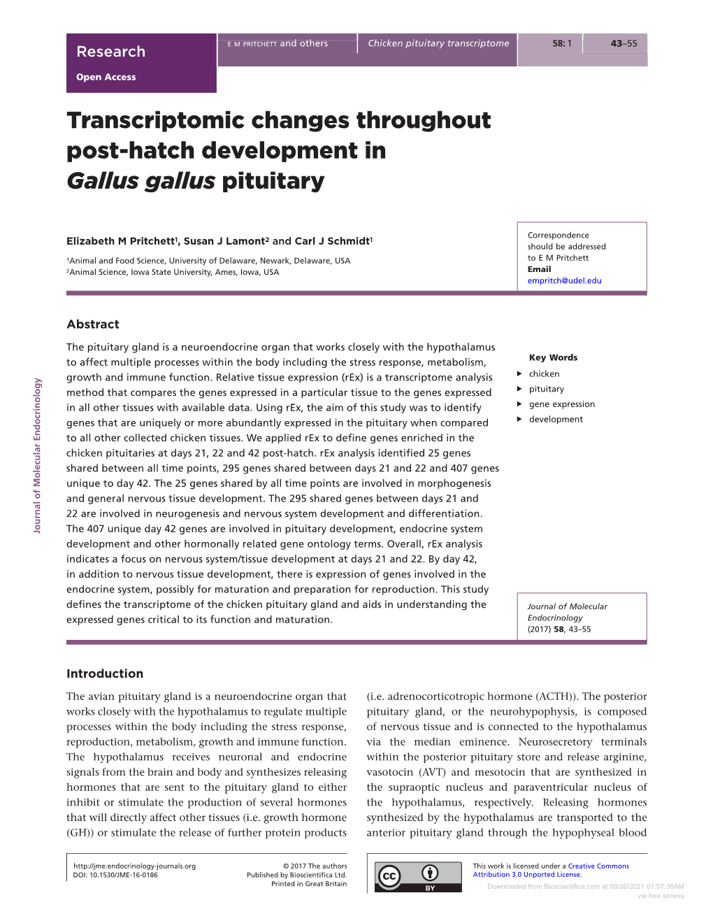 Transcriptomic Changes Throughout Post-Hatch Development in Gallus Gallus Pituitary