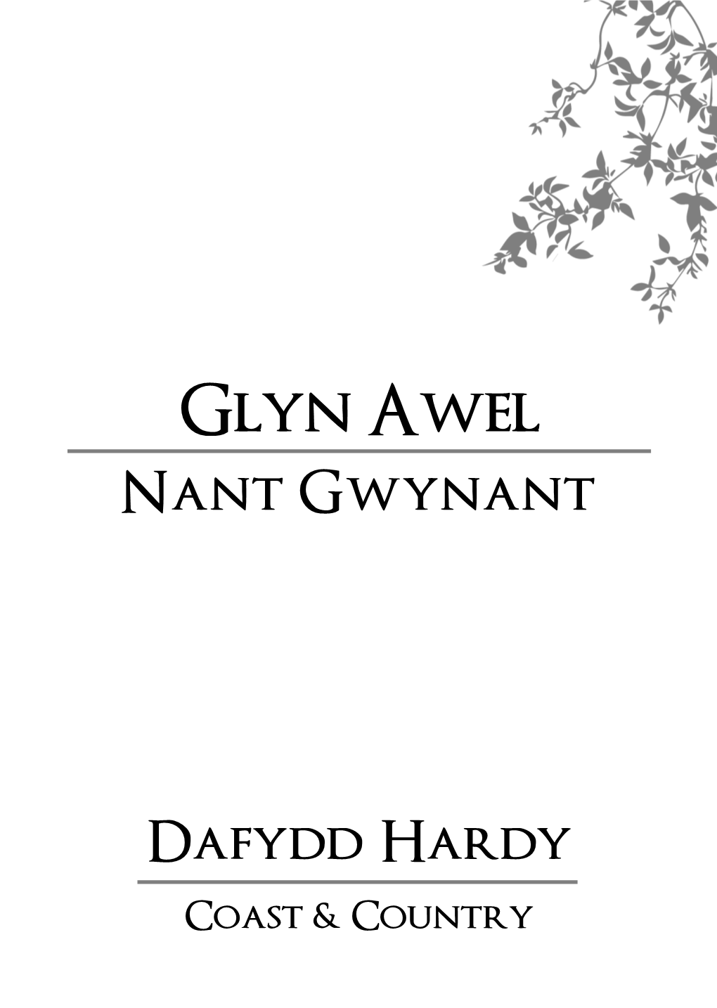 Glyn Awel Nant Gwynant