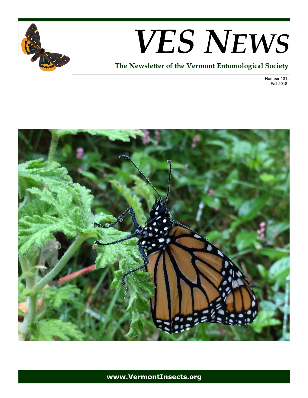 VES NEWS the Newsletter of the Vermont Entomological Society