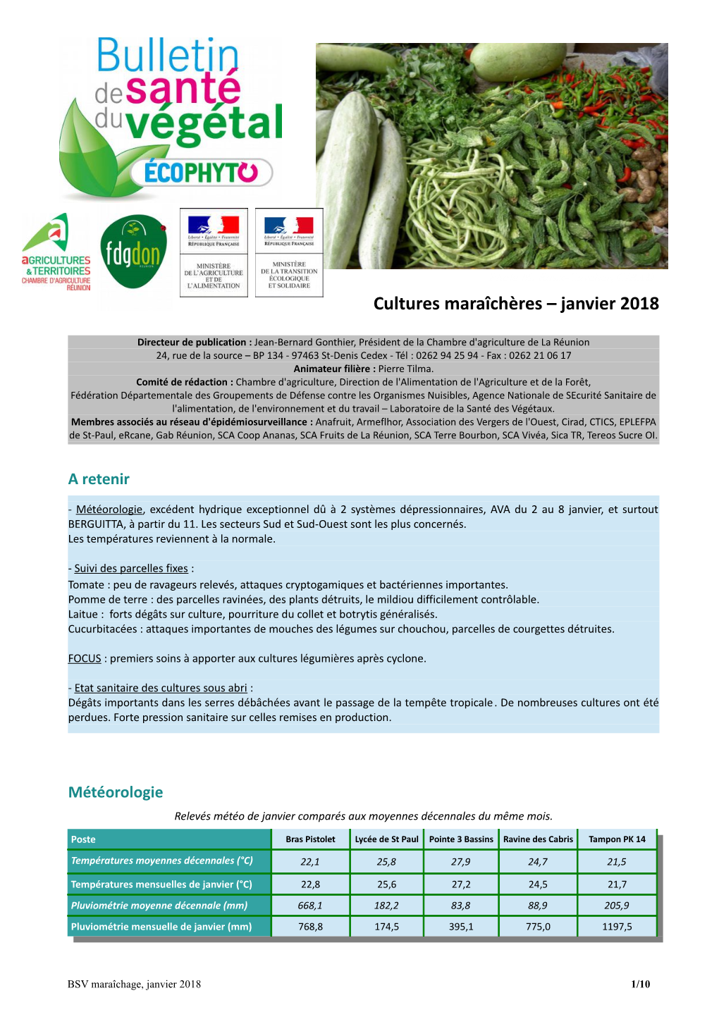 BSV Cultures Maraîchères – Janvier 2018