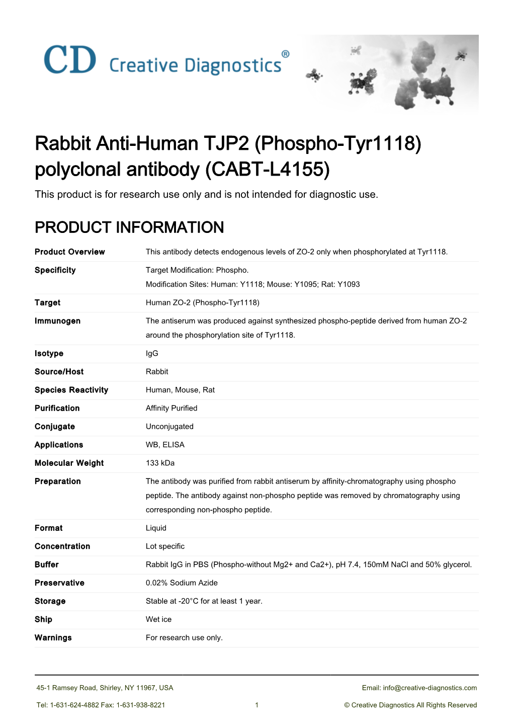 Rabbit Anti-Human TJP2 (Phospho-Tyr1118) Polyclonal Antibody (CABT-L4155) This Product Is for Research Use Only and Is Not Intended for Diagnostic Use
