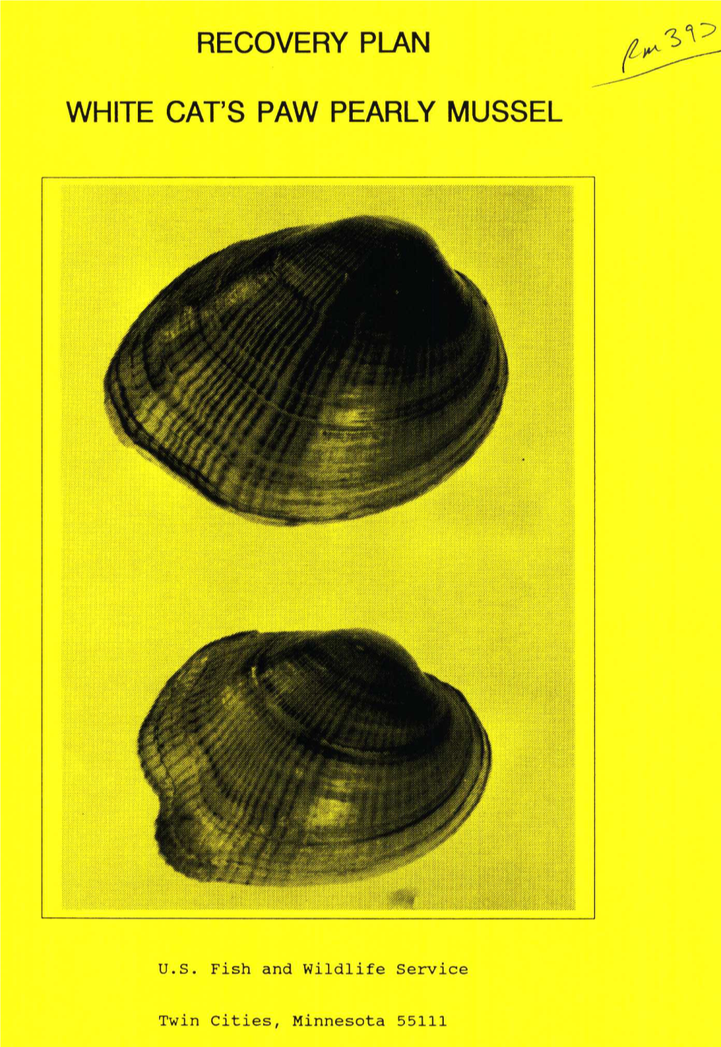 FWS 1990 Epiblasma Obliquata Recovery Plan