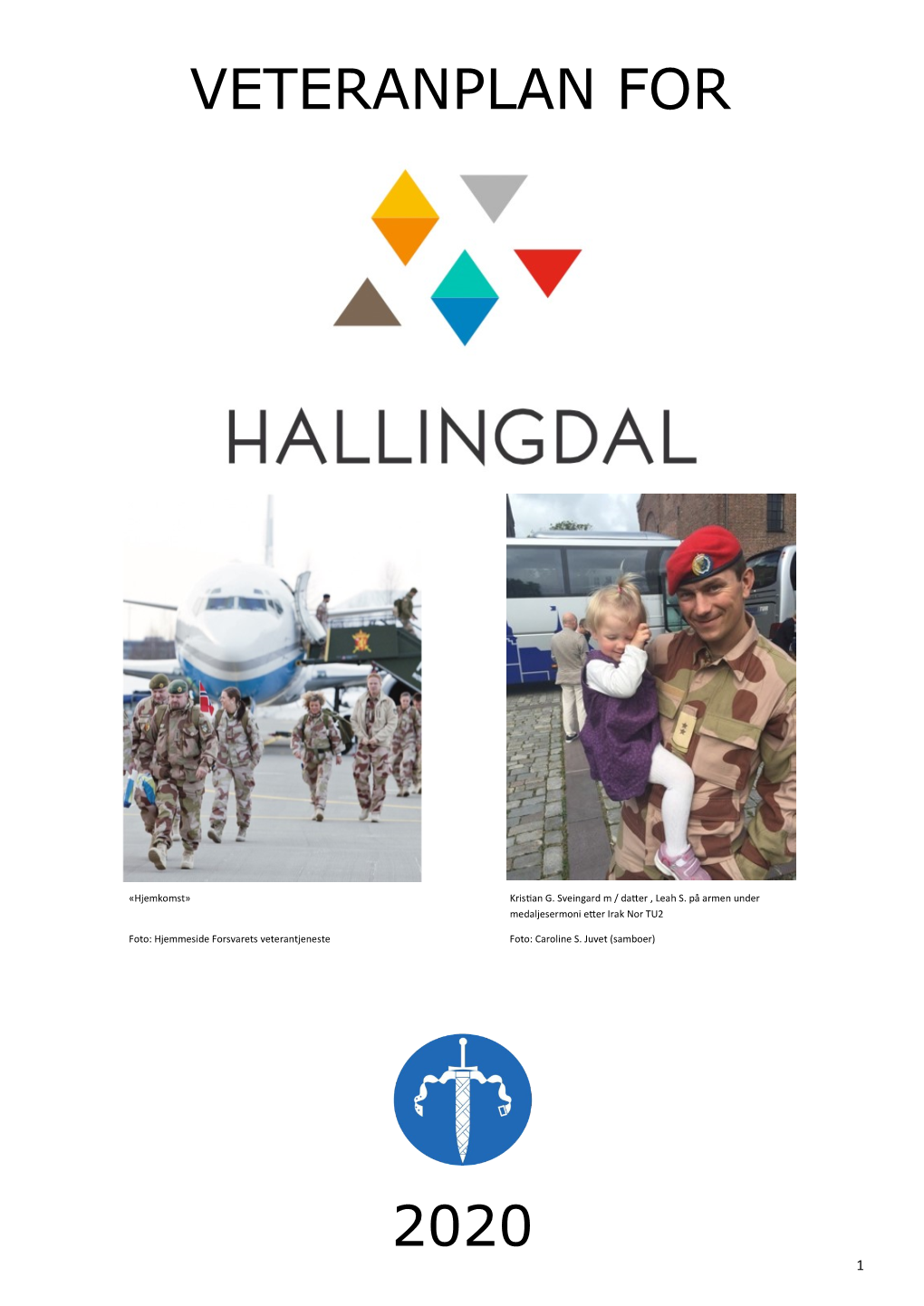 Veteranplan for Hallingdal 2020