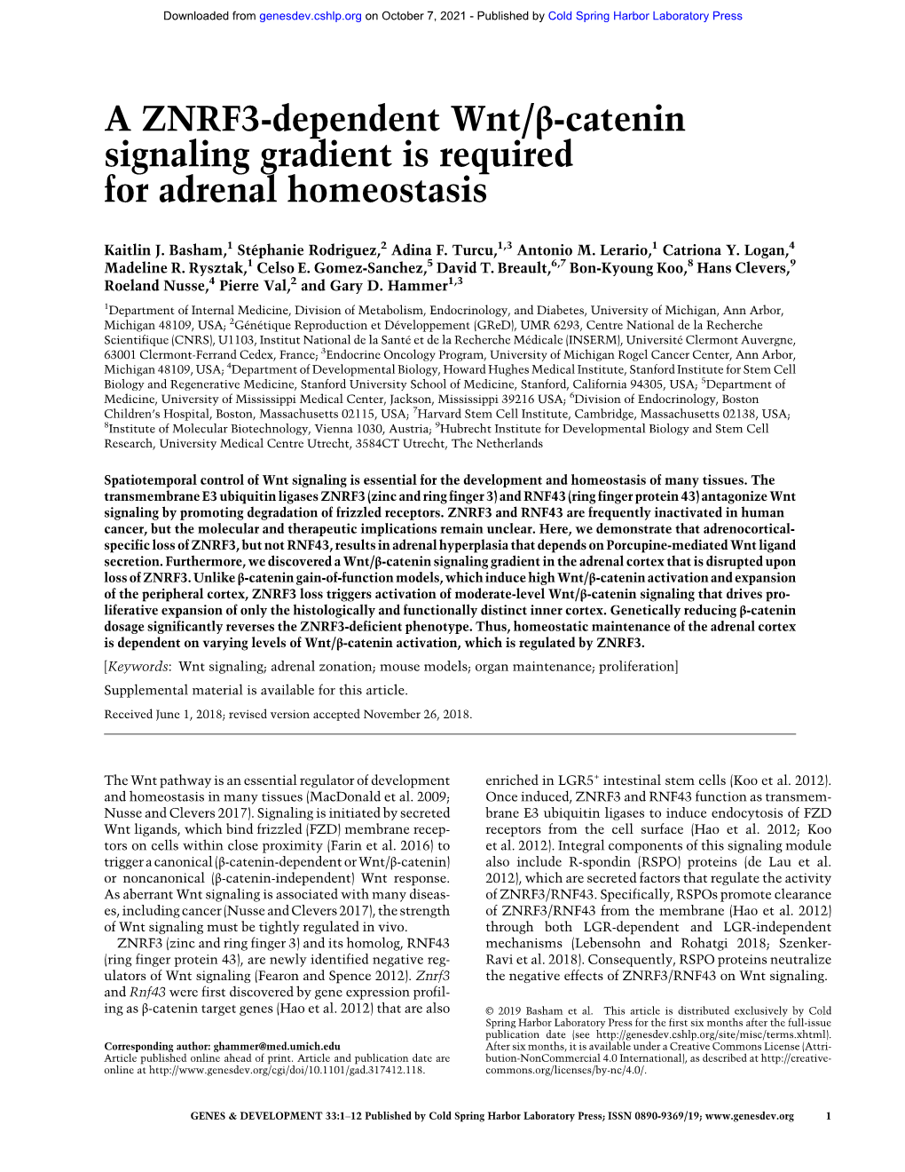 A ZNRF3-Dependent Wnt/Β-Catenin Signaling Gradient Is Required for Adrenal Homeostasis