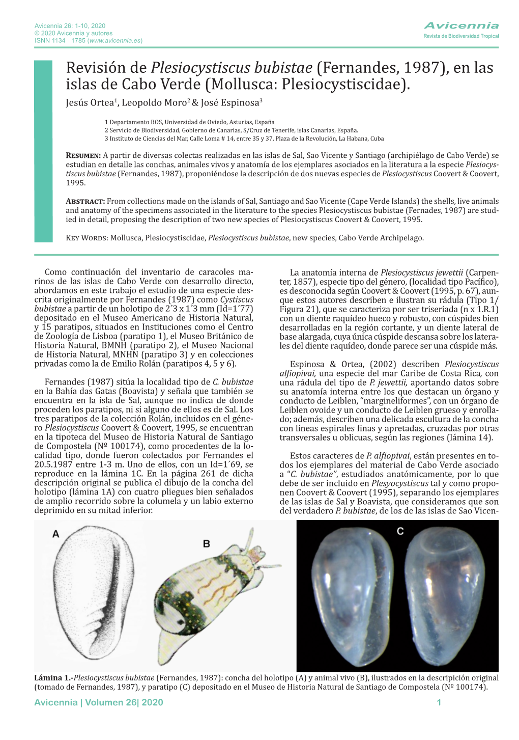 Plesiocystiscus Bubistae (Fernandes, 1987), En Las Islas De Cabo Verde (Mollusca: Plesiocystiscidae)