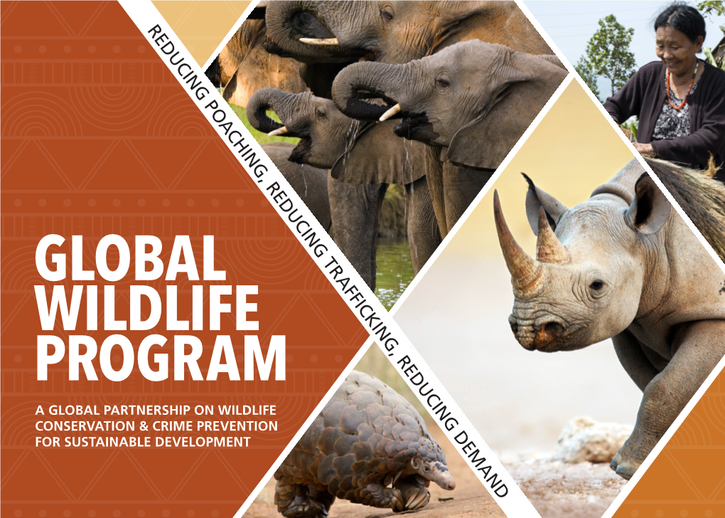 Global Wildlife Program a Global Partnership on Wildlife Conservation & Crime Prevention for Sustainable Development the Program