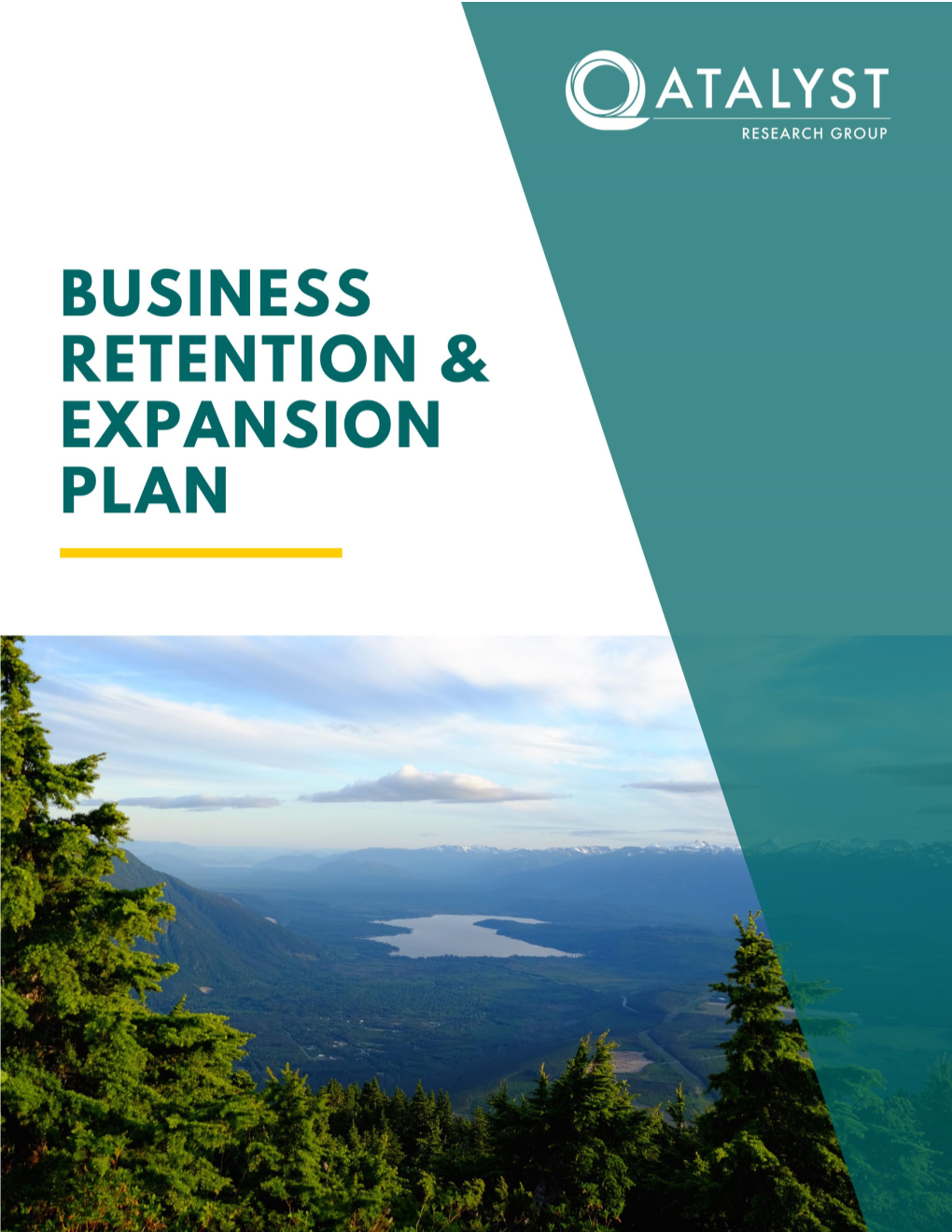Business Retention and Expansion Plan Qatalyst