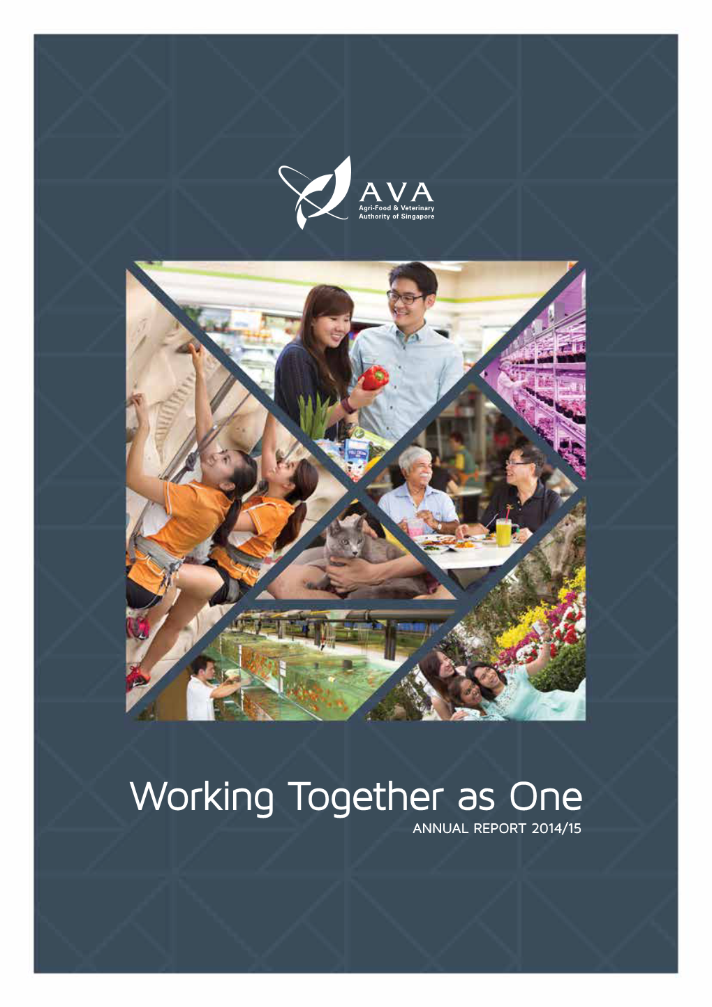 Working Together As One ANNUAL REPORT 2014/15 VISION AWARDS & ACCOLADES