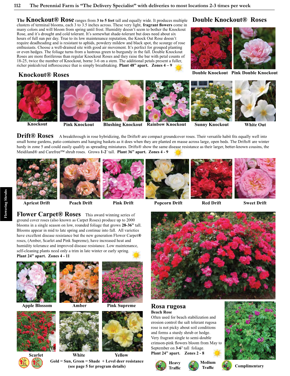 Knockout® Roses Double Knockout® Roses Rosa Rugosa