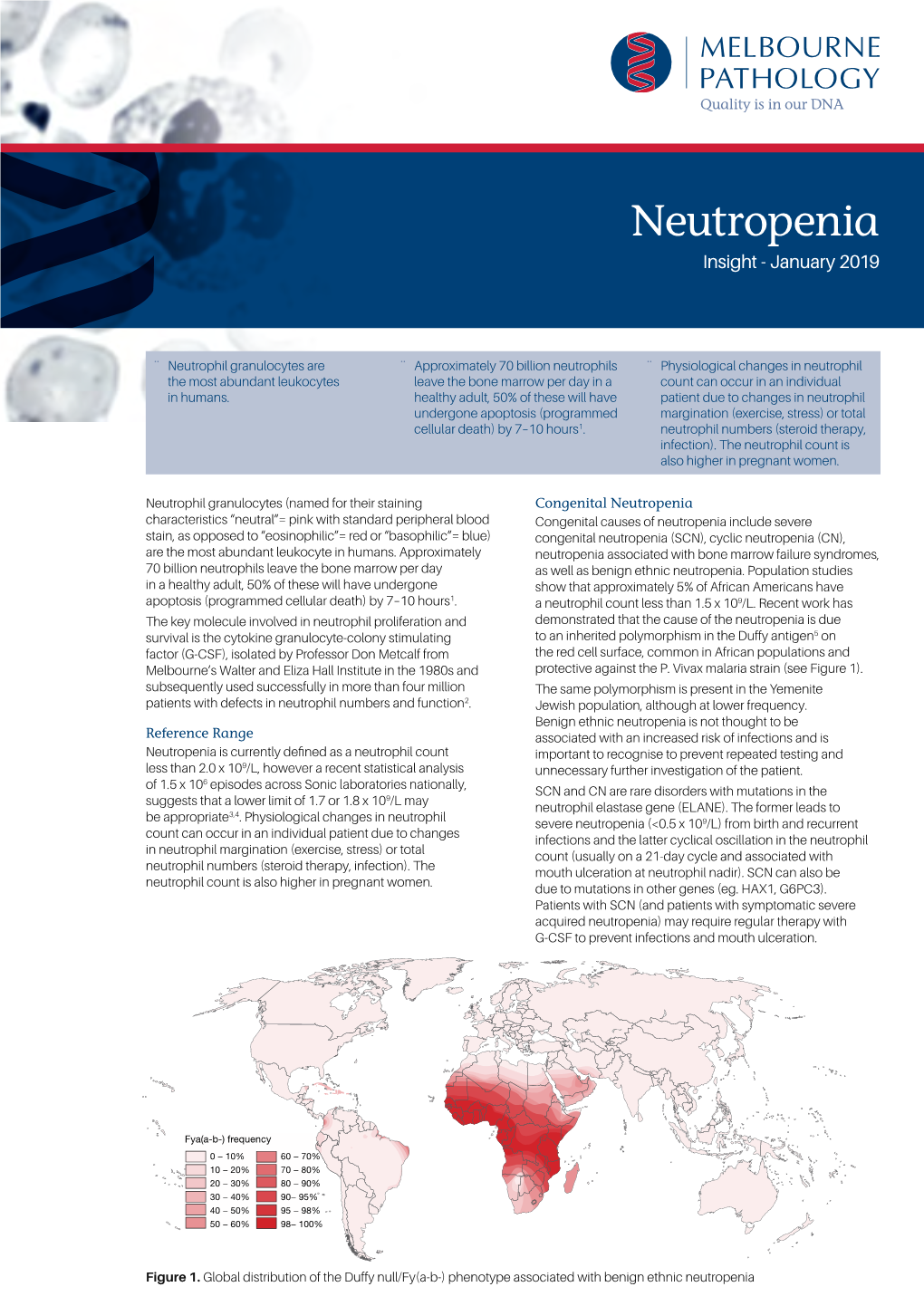 Neutropenia Insight - January 2019