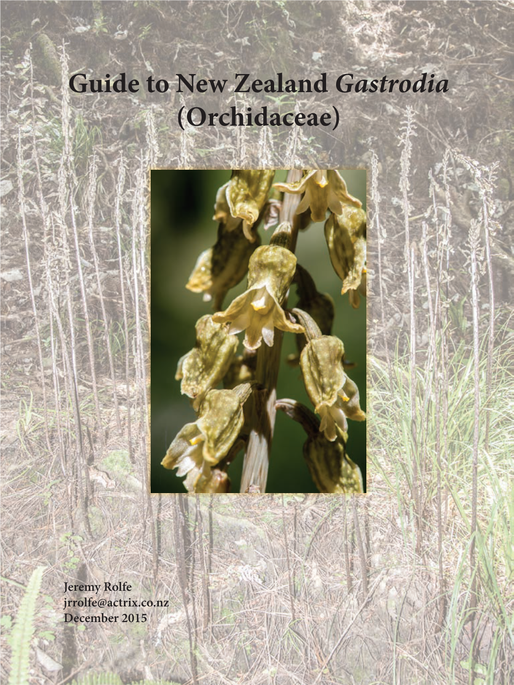 Guide to New Zealand Gastrodia (Orchidaceae)