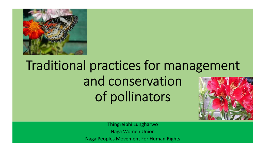 Traditional Practices for Management and Conservation of Pollinators