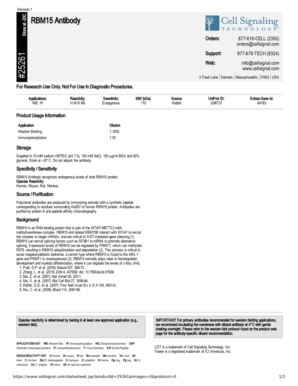 25261 RBM15 Antibody