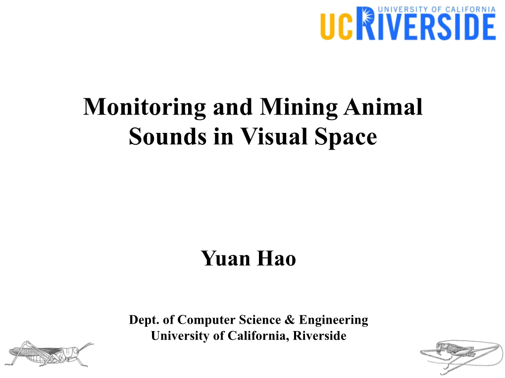 Monitoring and Mining Animal Sound in Visual Space