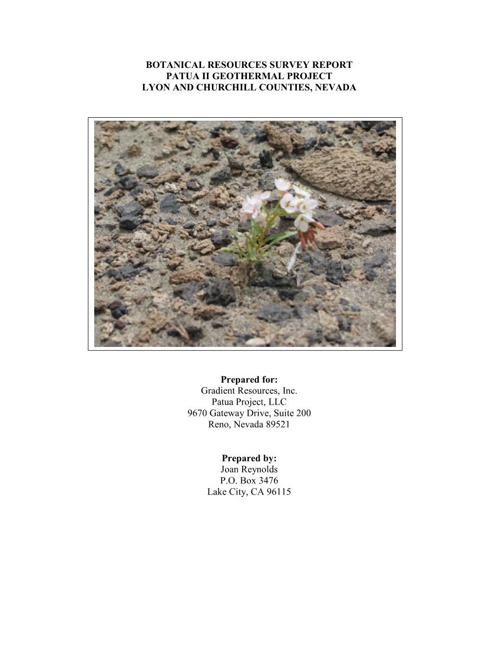 Botanical Resources Survey Report Patua Ii Geothermal Project Lyon and Churchill Counties, Nevada