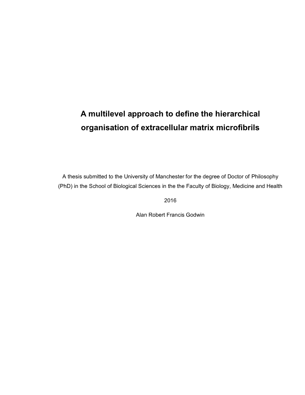 A Multilevel Approach to Define the Hierarchical Organisation of Extracellular Matrix Microfibrils