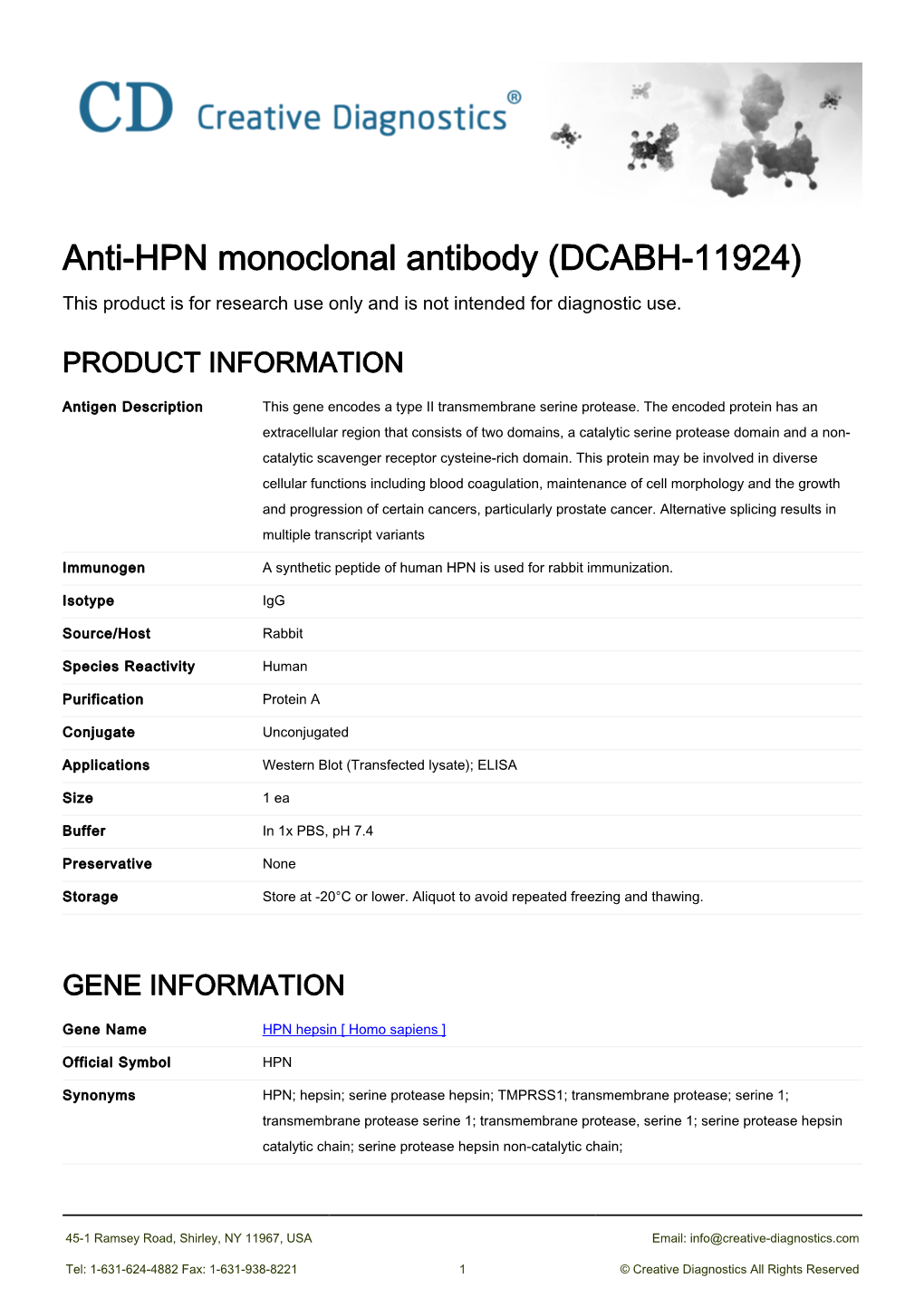 Anti-HPN Monoclonal Antibody (DCABH-11924) This Product Is for Research Use Only and Is Not Intended for Diagnostic Use