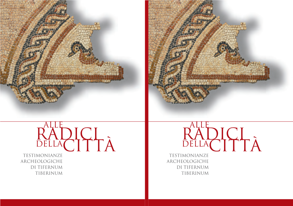 Città-Dicastello-Radici-Della-Città