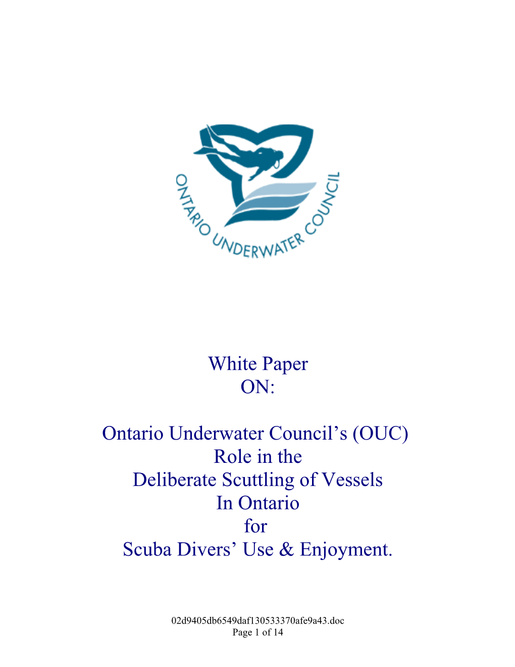 Vessel Inspection White Paper