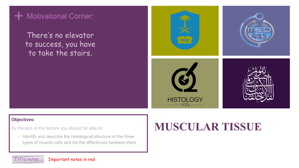 MUSCULAR TISSUE - Identify and Describe the Histological Structure of the Three Types of Muscle Cells and List the Differences Between Them