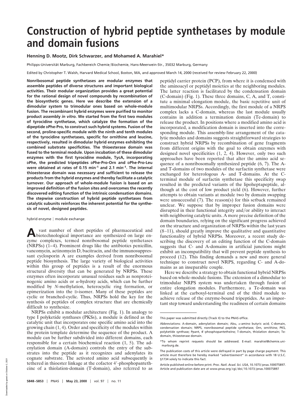 Construction of Hybrid Peptide Synthetases by Module and Domain Fusions