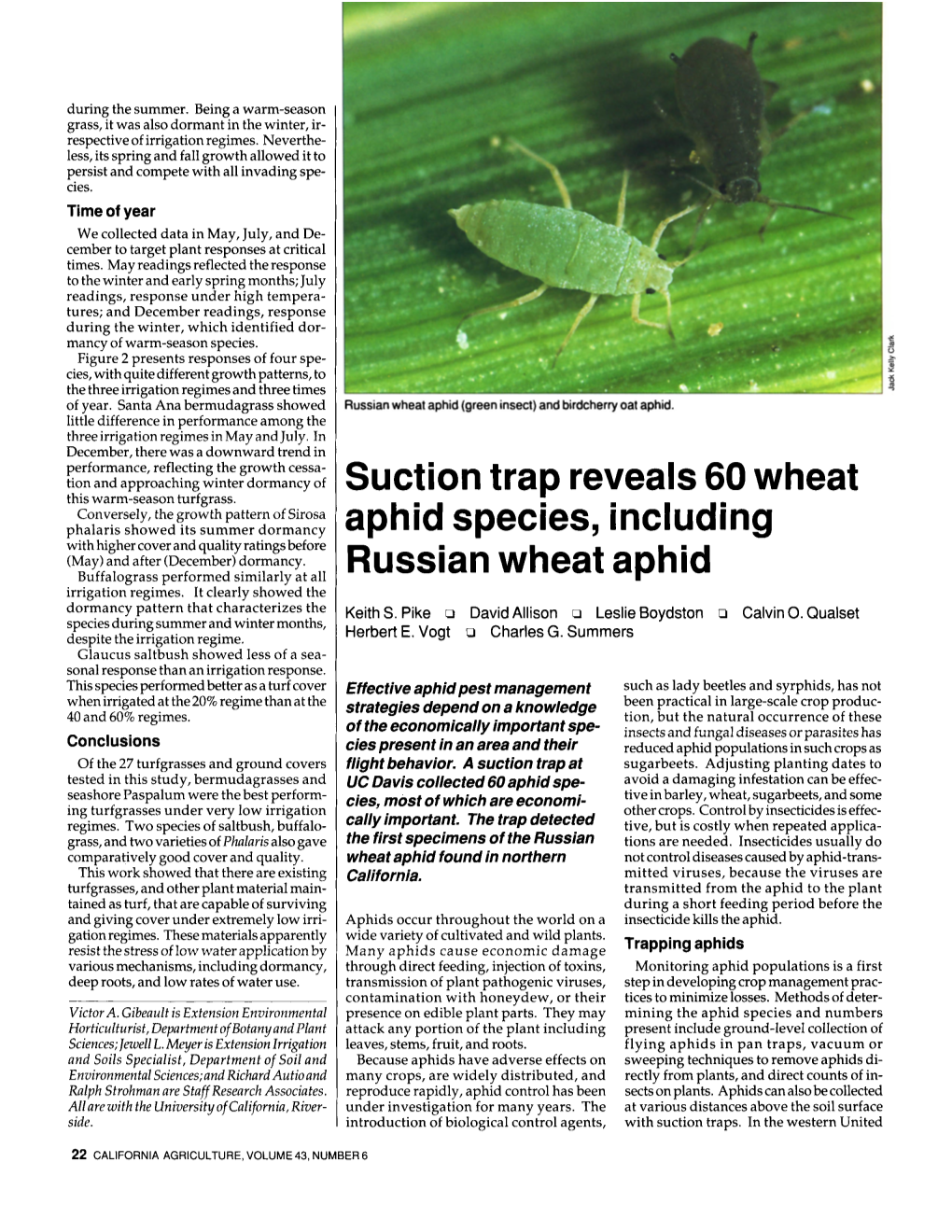 Suction Trap Reveals 60 Wheat Aphid Species, Including