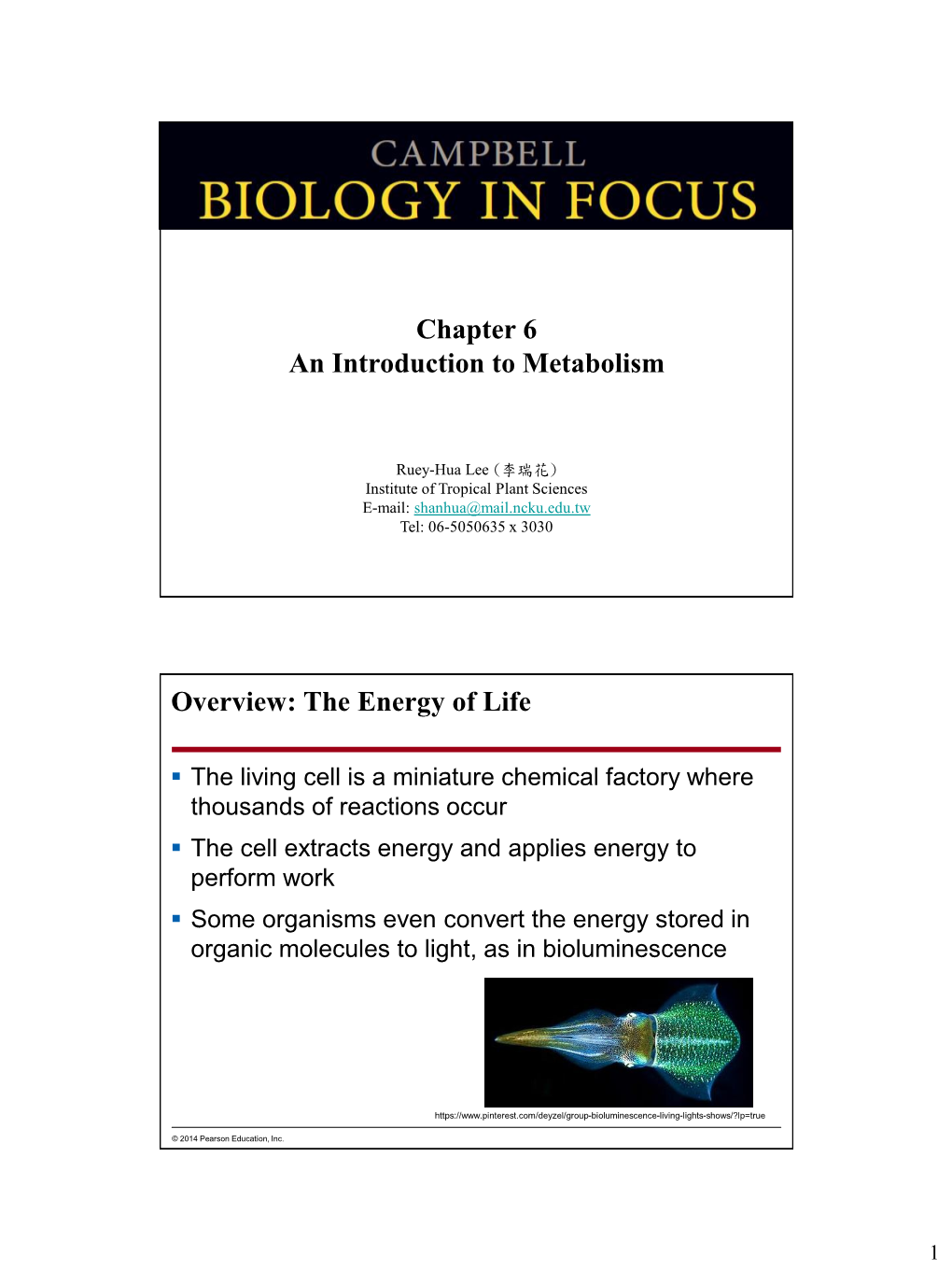 Chapter 6 an Introduction to Metabolism Overview: the Energy